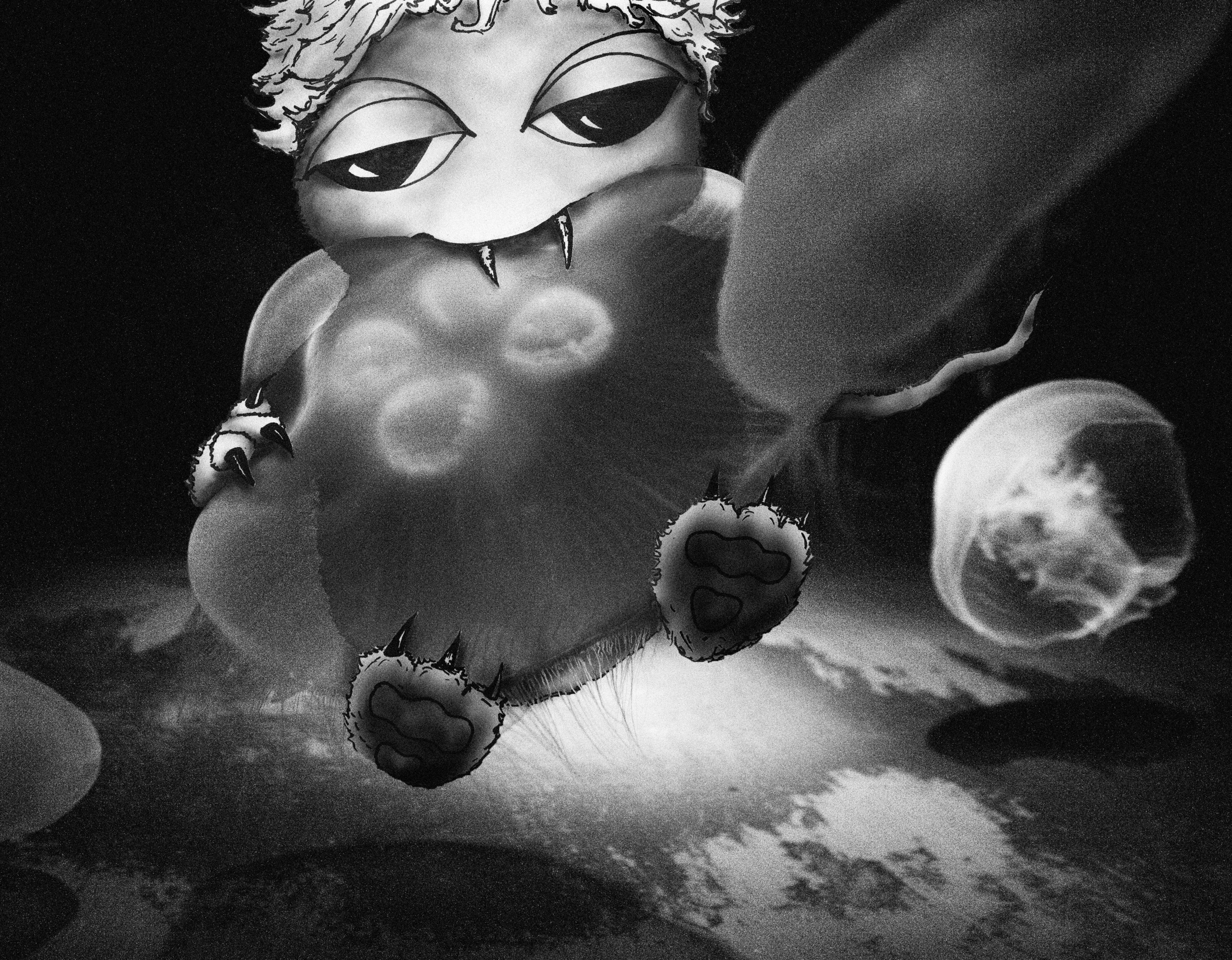 Jelly Trip 3 flattened.jpg