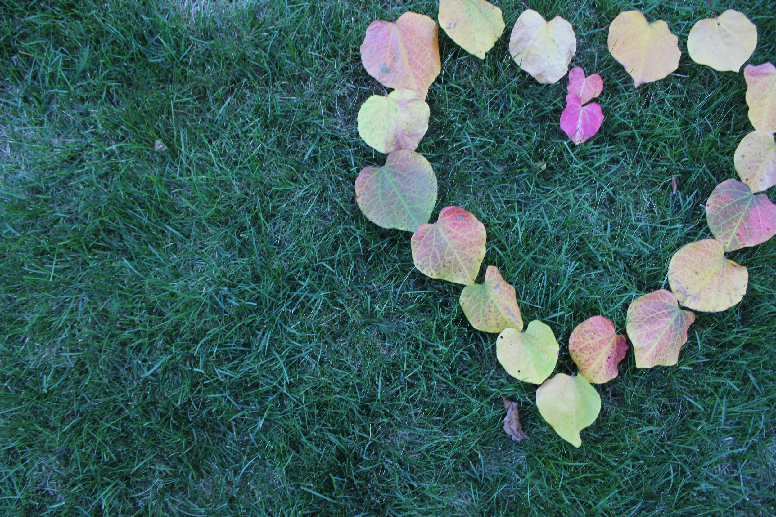 06_N_Kaitlin_nature 1.JPG