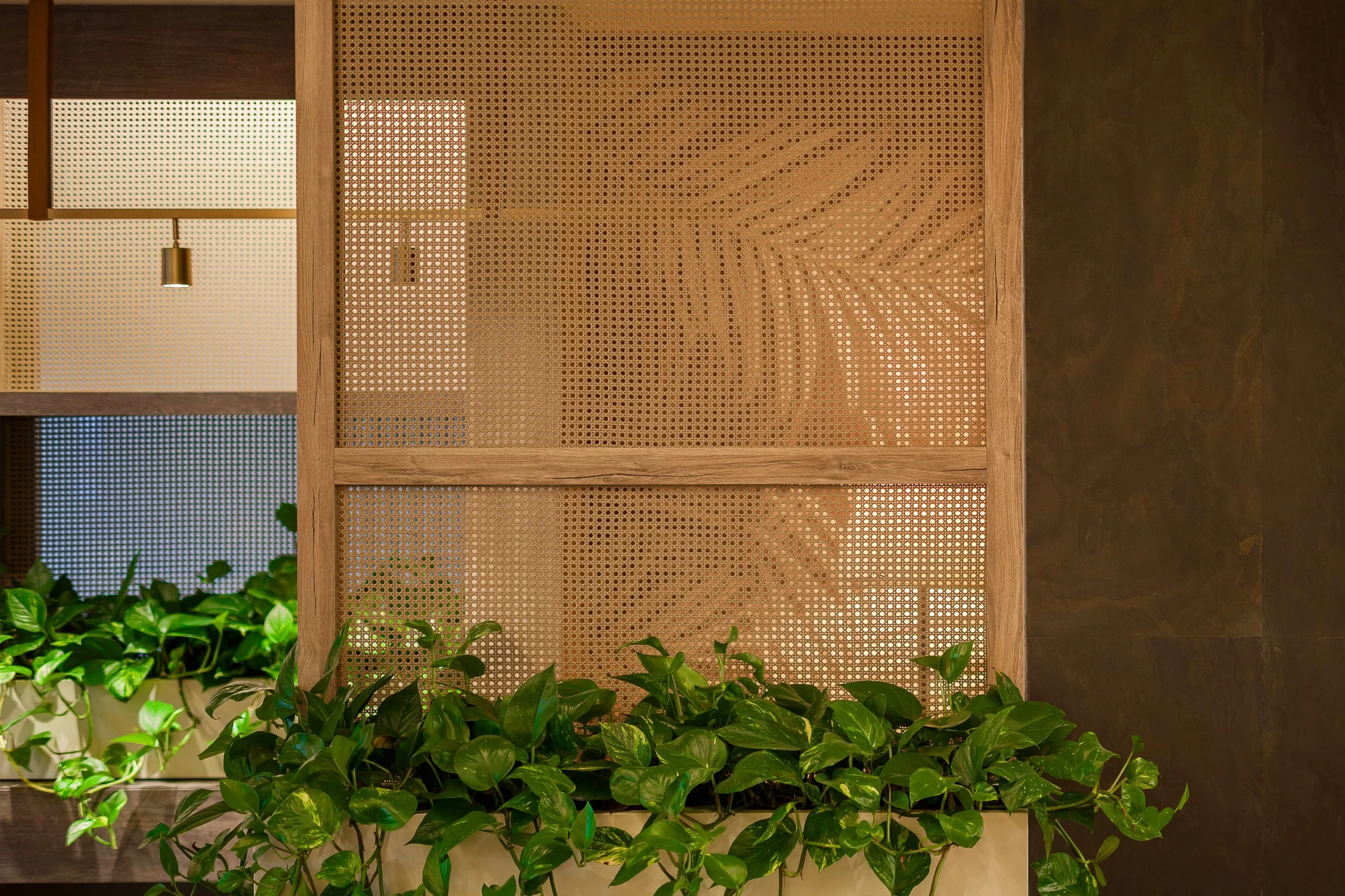 NurolLife Sales Office