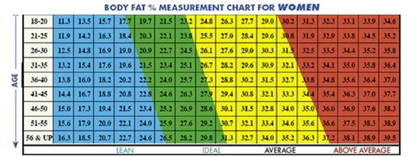 My body fat percentage