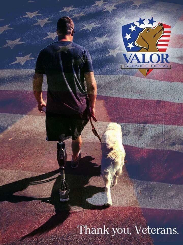 Annual report photo.JPG