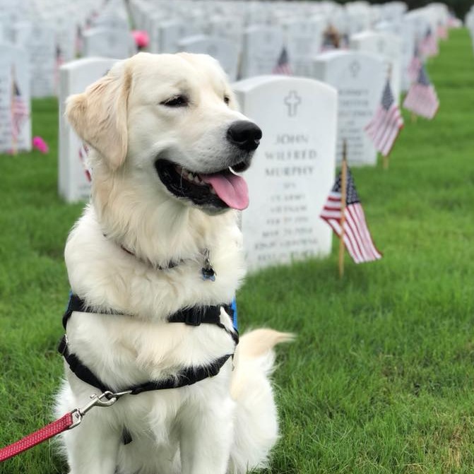 Norman+at+arlington.jpg