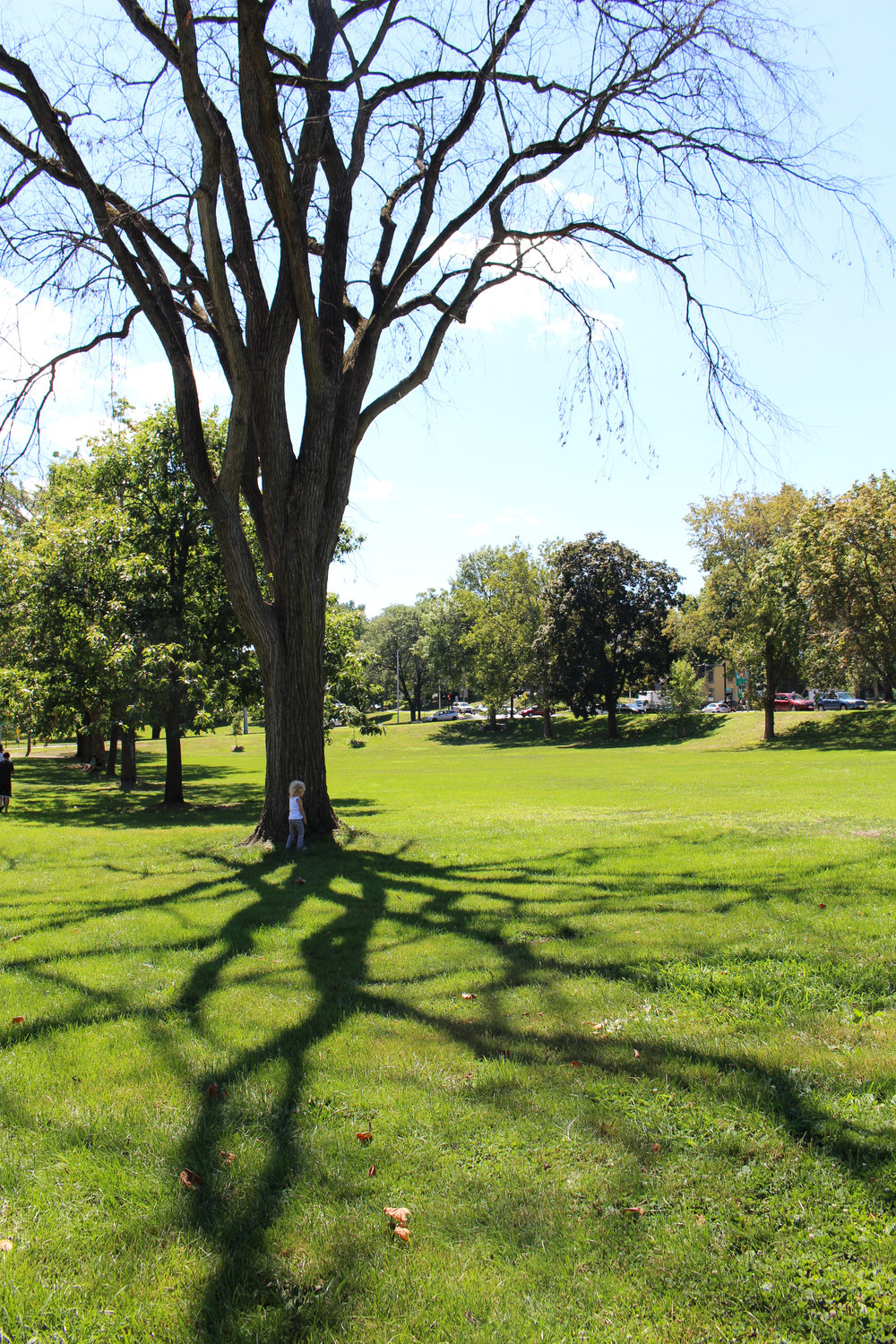 Amherst Town Green
