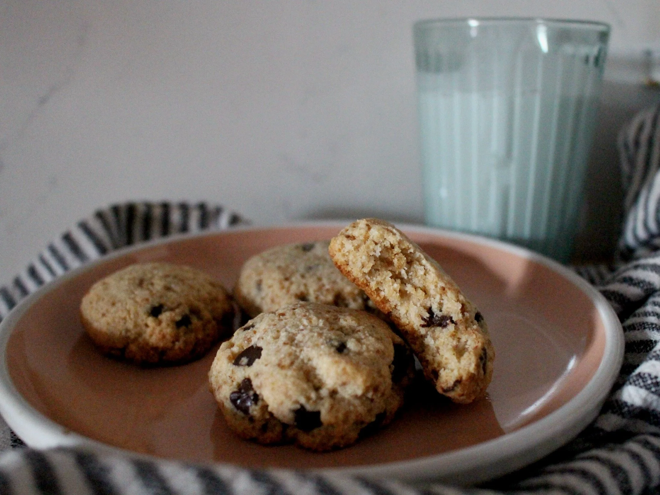 Chocolate Chip Cookies (AIP)