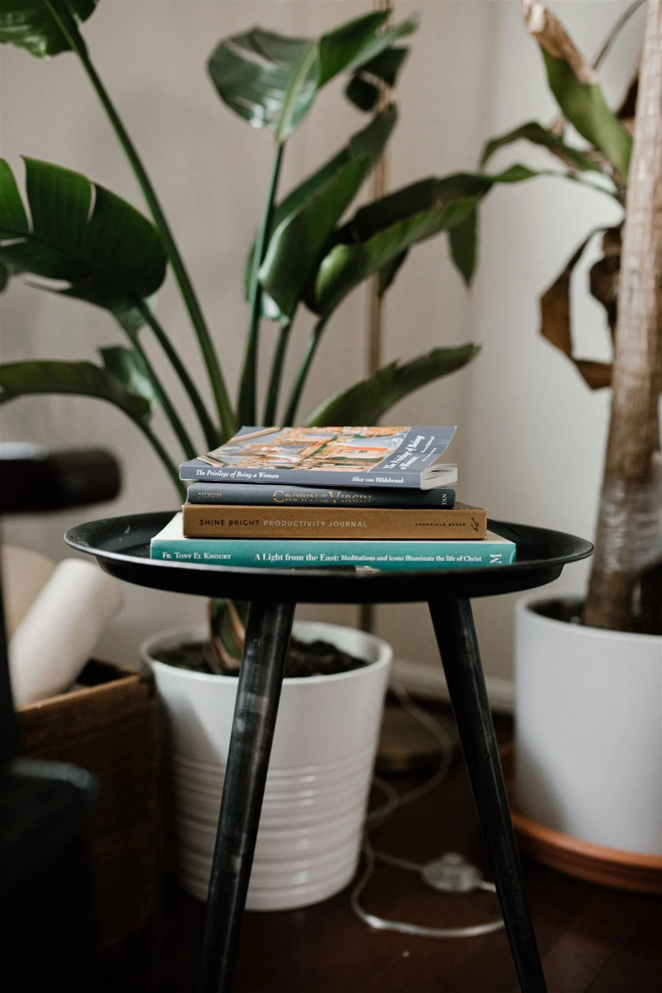 Books for a Fruitful Lent