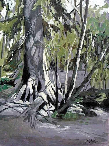 Woodland Path