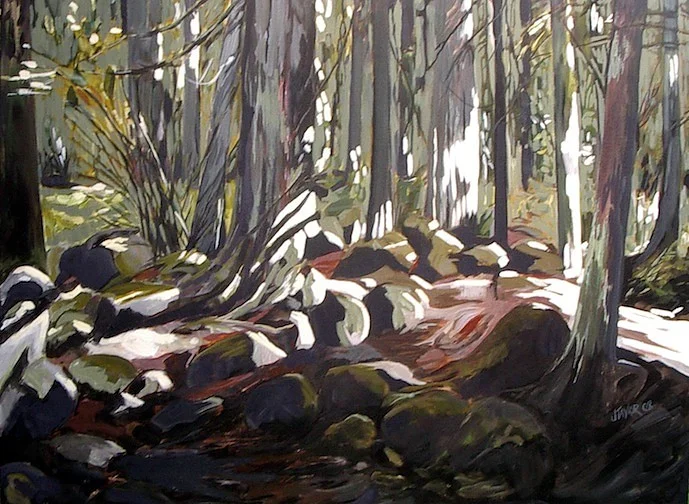 Lynn Canyon Rock