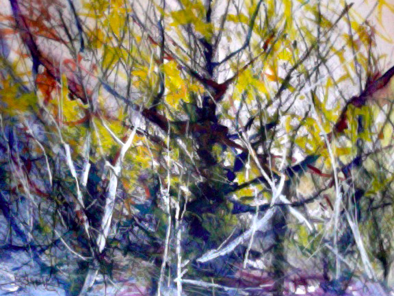 Untitled water color on paper 16x20