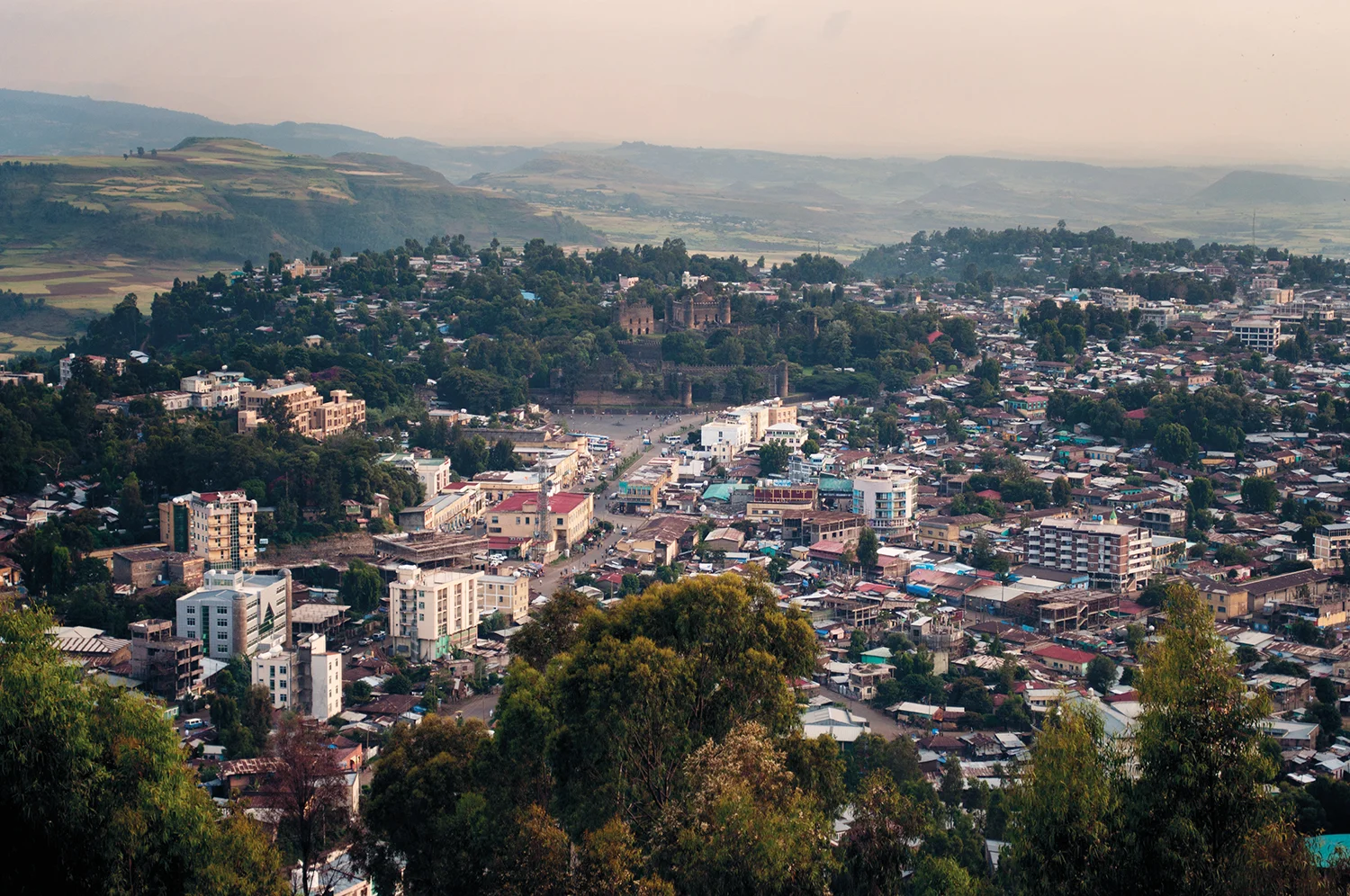 DFleischmann-ETHIO-016.jpg