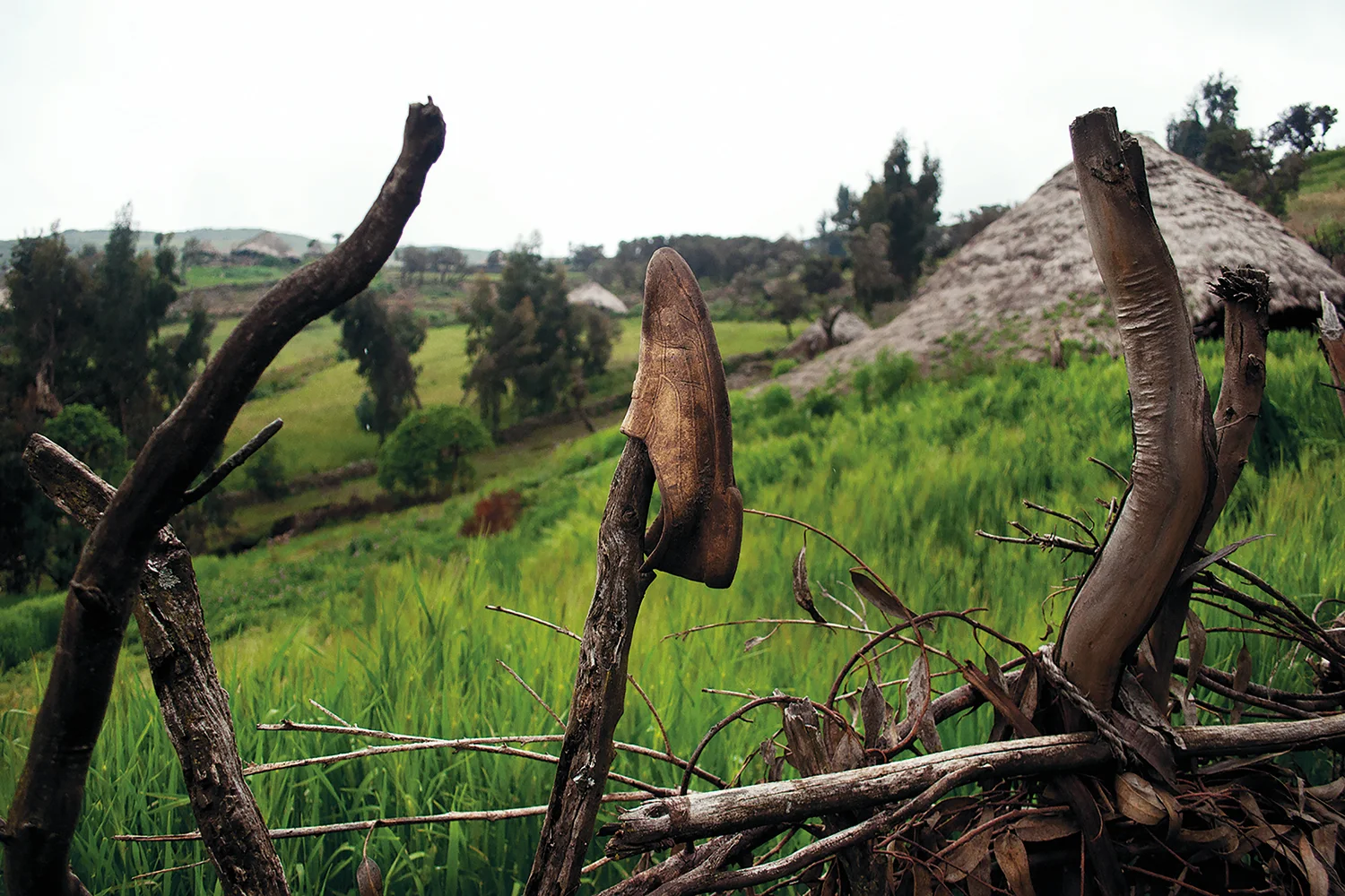 DFleischmann-ETHIO-039.jpg