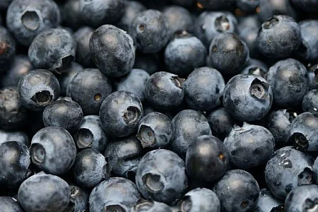 blueberries-background.jpg