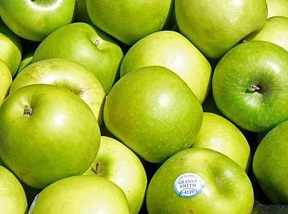 apples.jpg