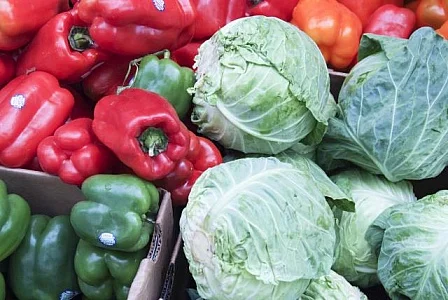 bell-peppers-and-cabbage.jpg