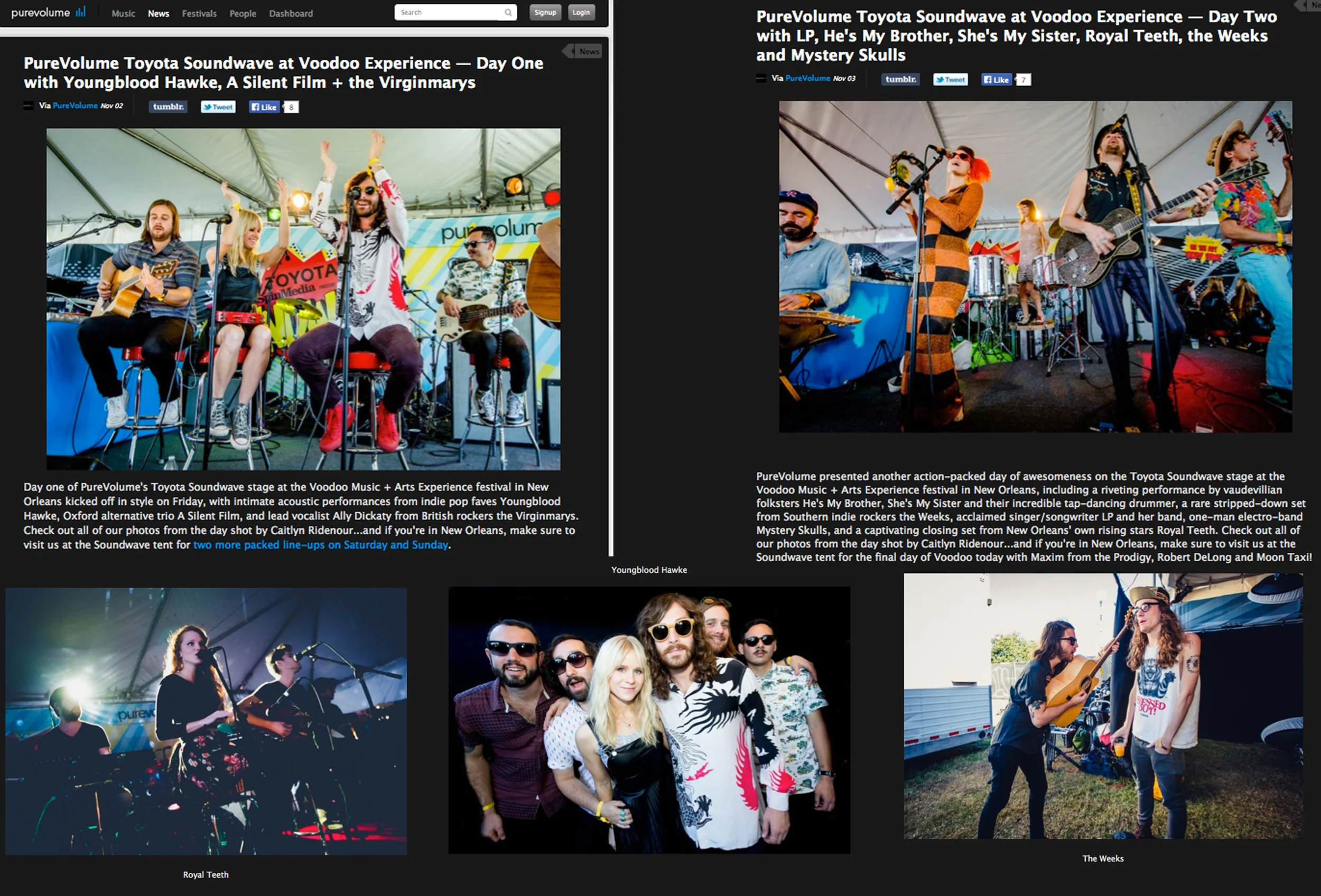 purevolume.jpg