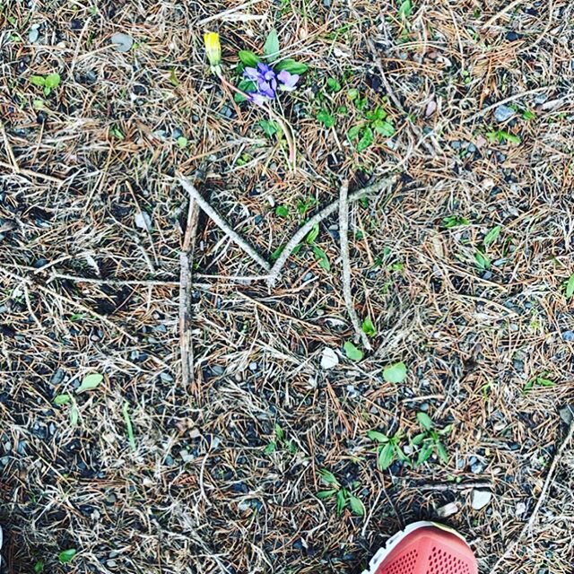 On my way to 2.23 miles on my run today I passed a discharged shotgun shell. I wish the family and friends of #ahmaudarbery peace and strength. #irunwithmaud #thishastostop