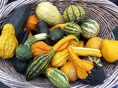 #SquashGoals - Your Guide to Winter Squash