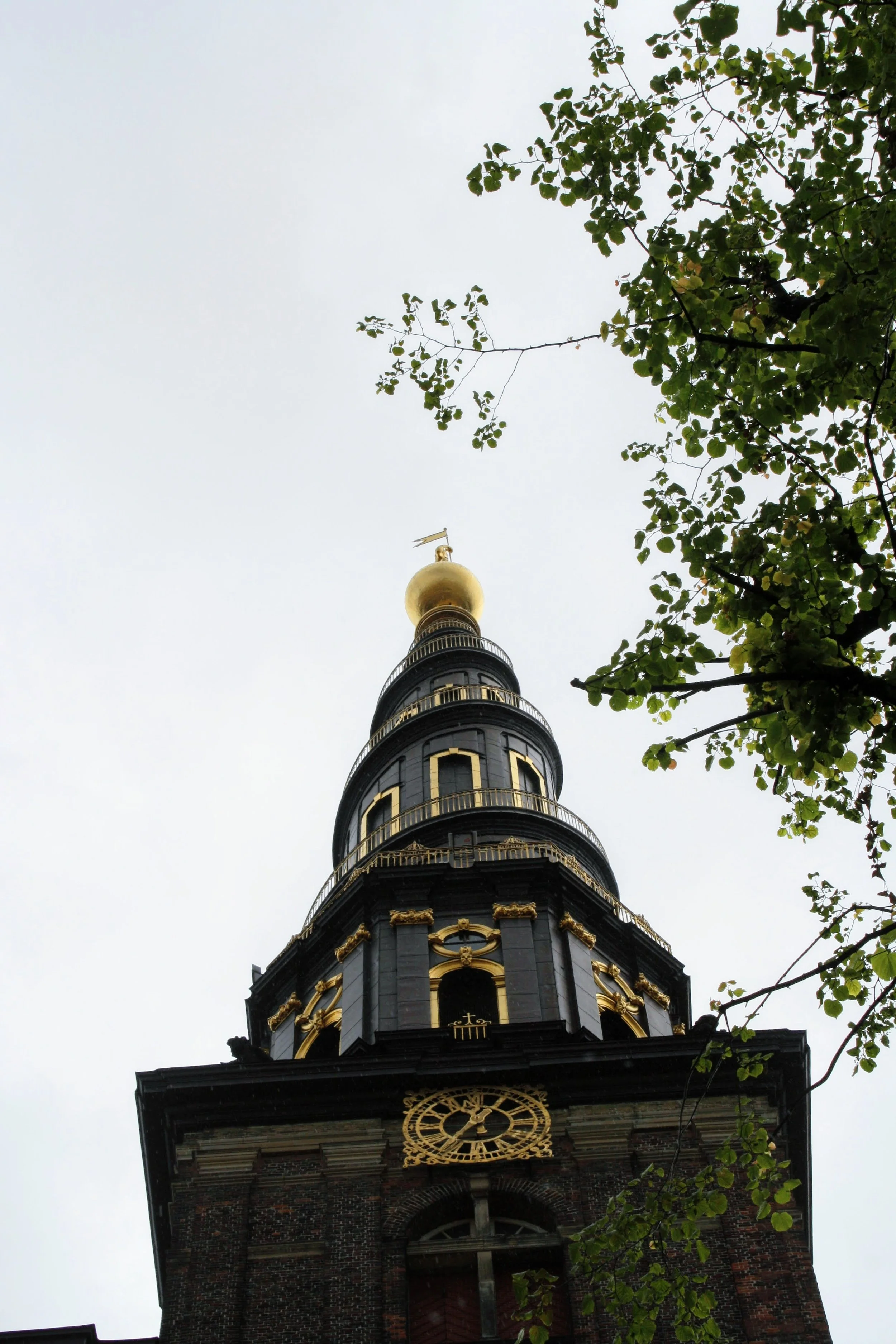 IMG_9384.jpg