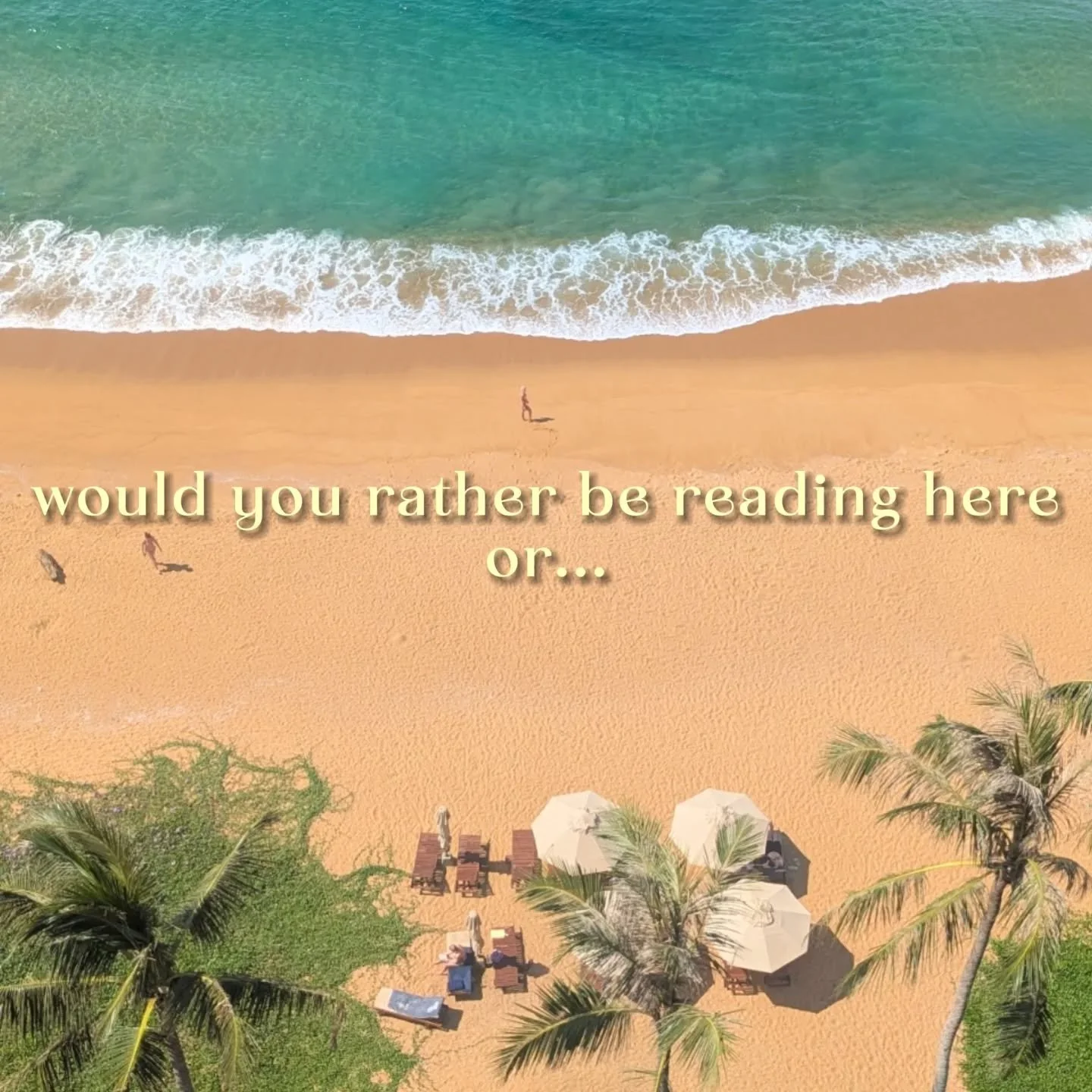 Future BOOKED trips are already taking shape, and I want your input. 📚

When you picture the perfect reading getaway, where are you?

🏖️ Beach &mdash; ocean views, salty air, reading with your toes in the sand

⛰️ Mountains &mdash; camping or cozy 