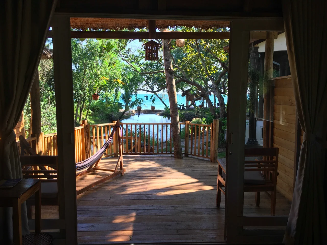 bamboo (285 of 305).jpg