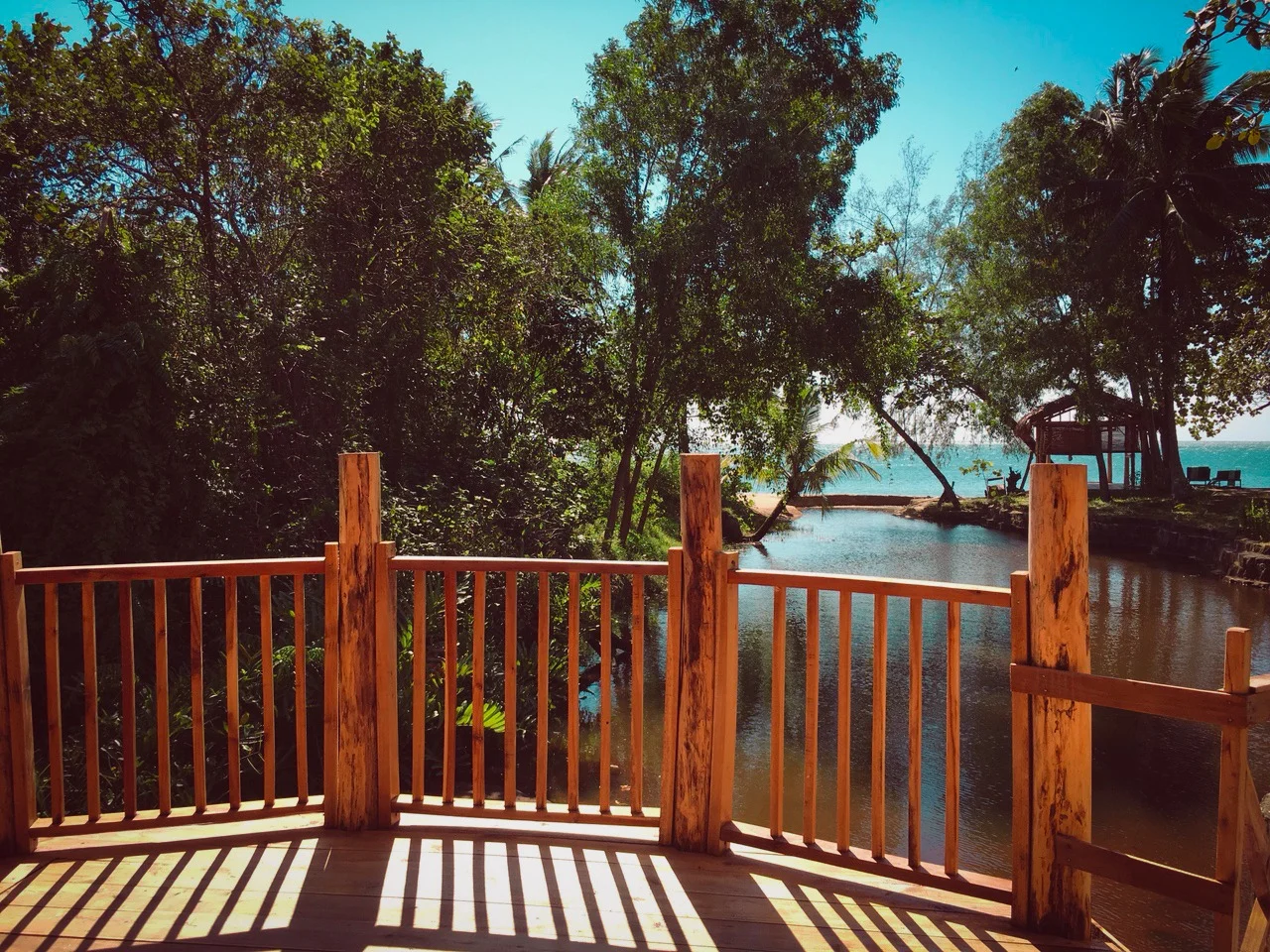 bamboo (136 of 305).jpg