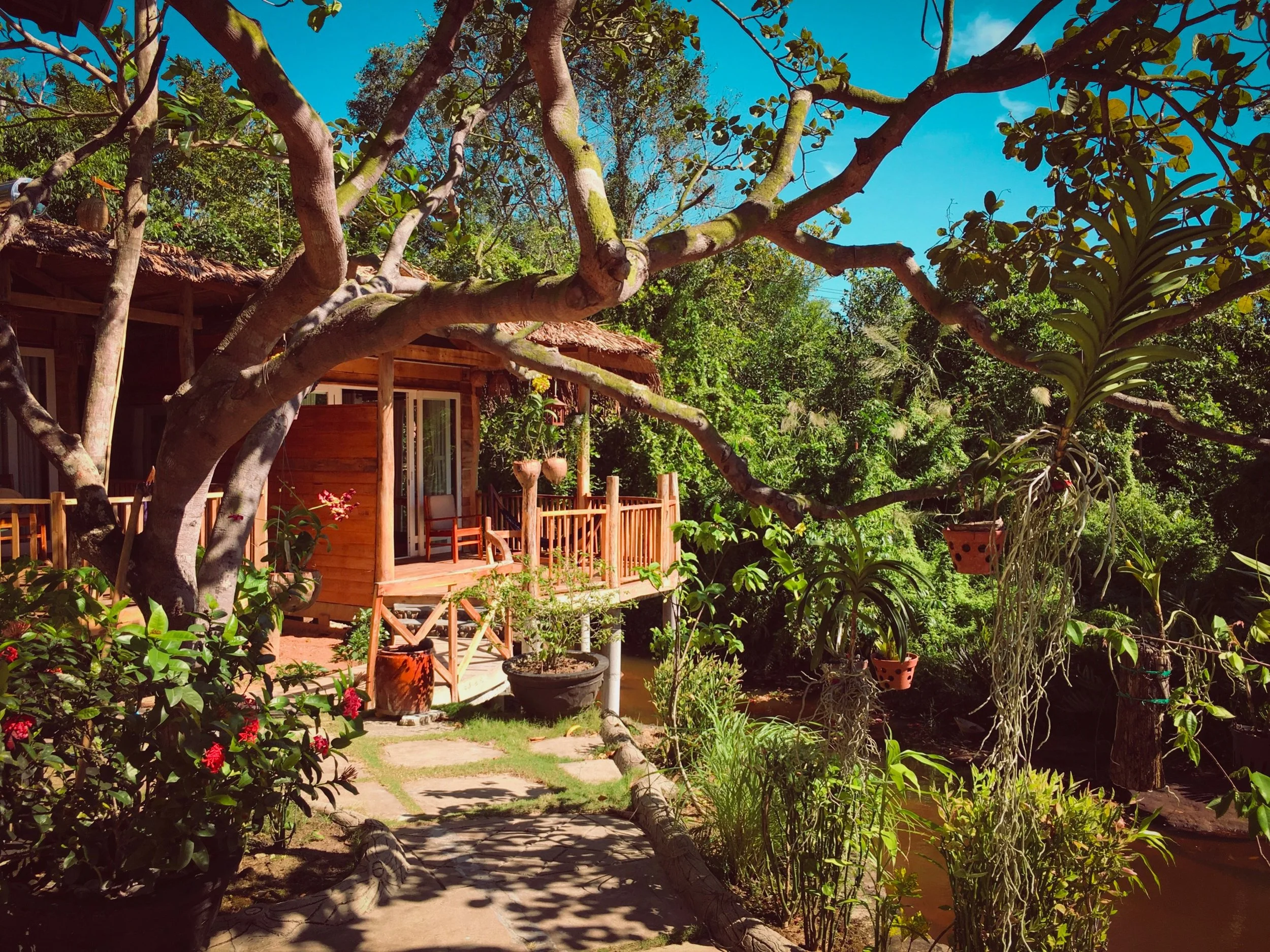 bamboo (6 of 305).jpg