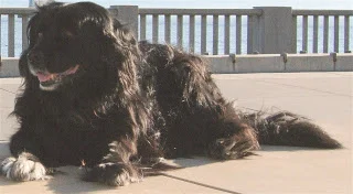 farley portrait.jpg