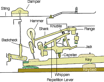 grand piano keys diagram