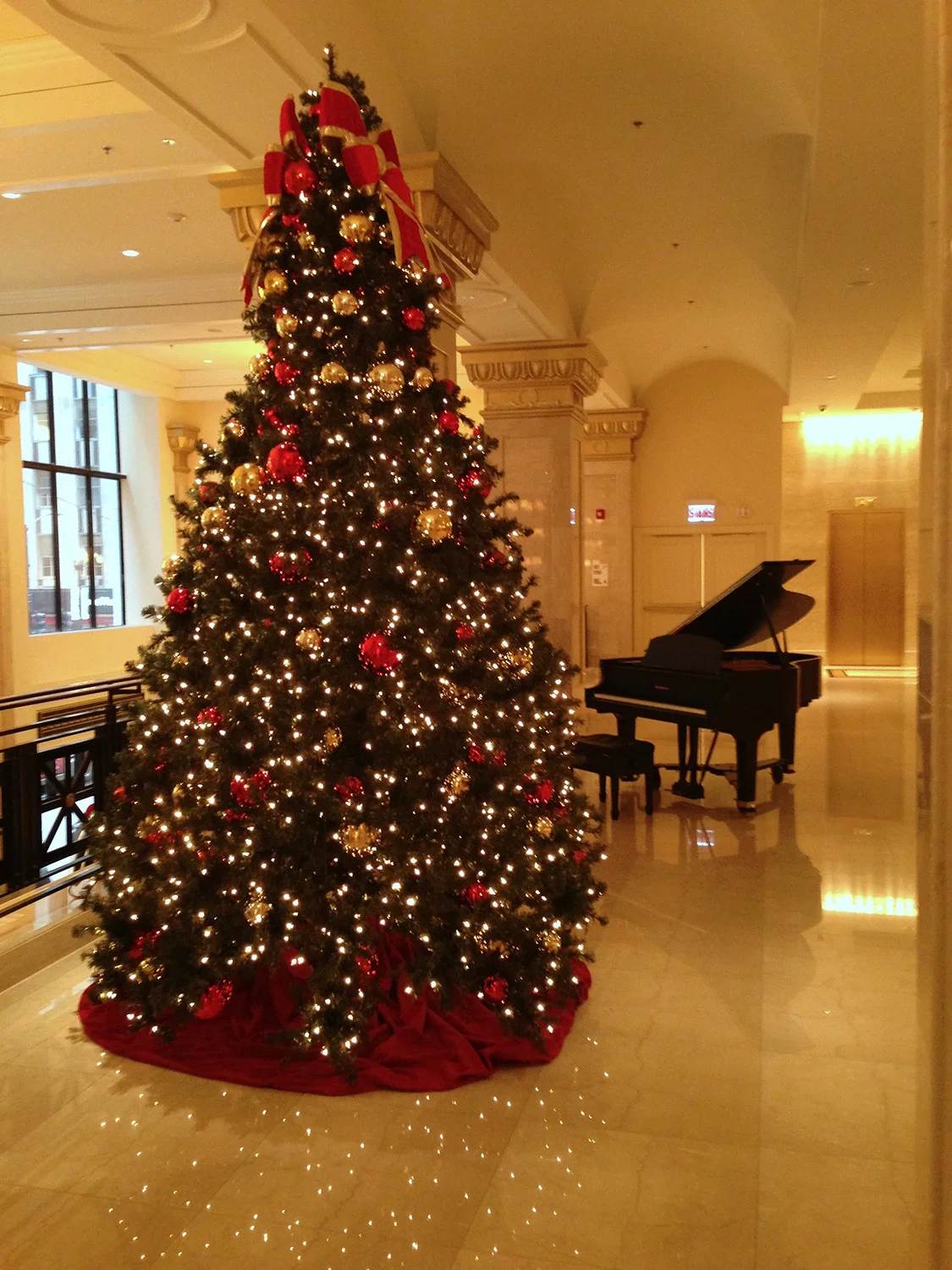 jw.christmas.tree.jpg