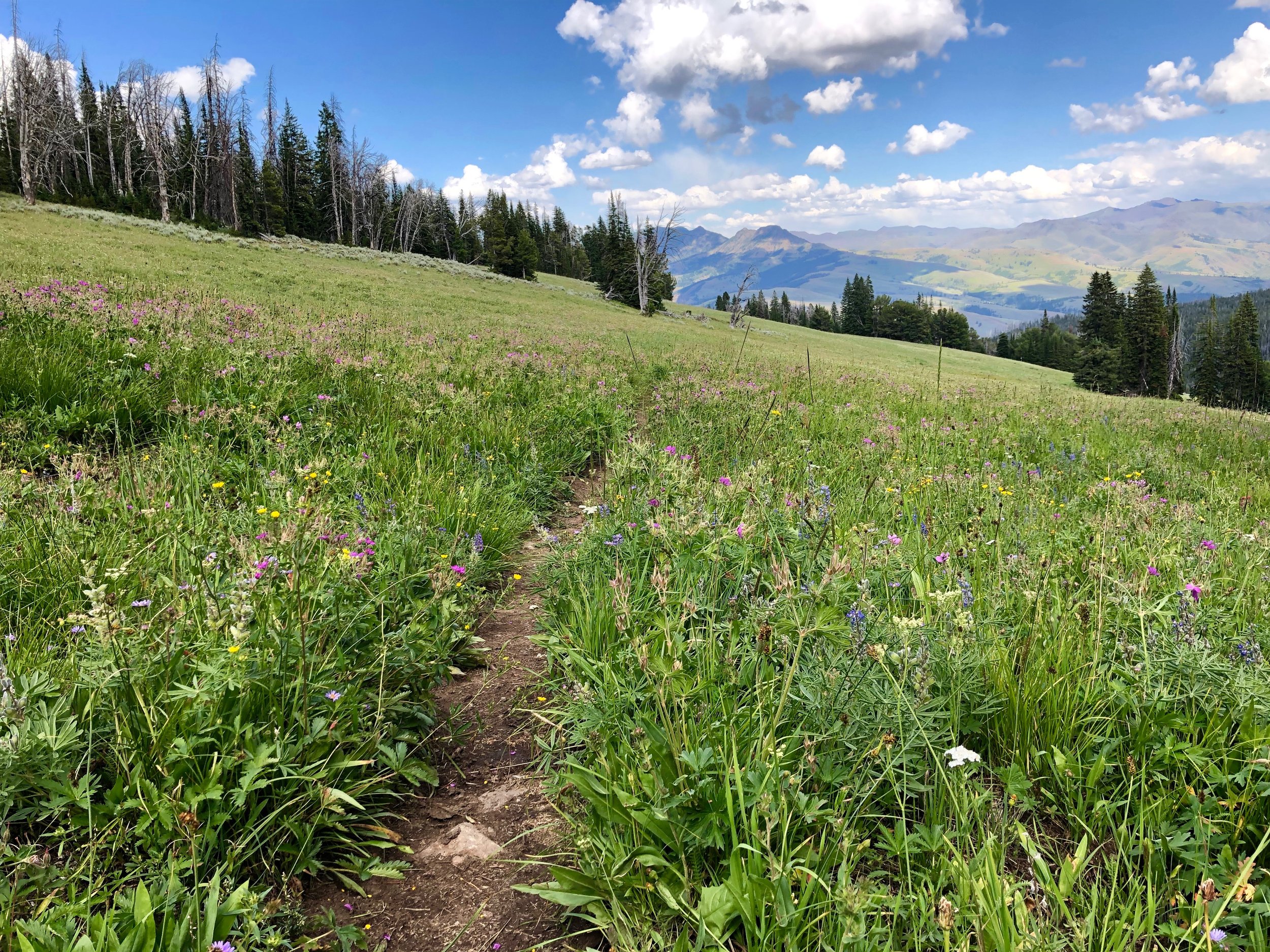 And finally the steeper, but shorter hike back down...
