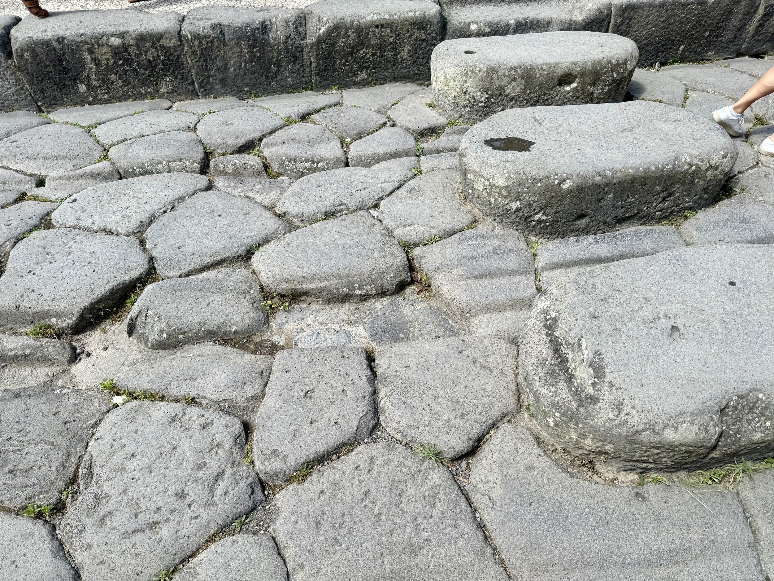 Stepping stones during the rains
