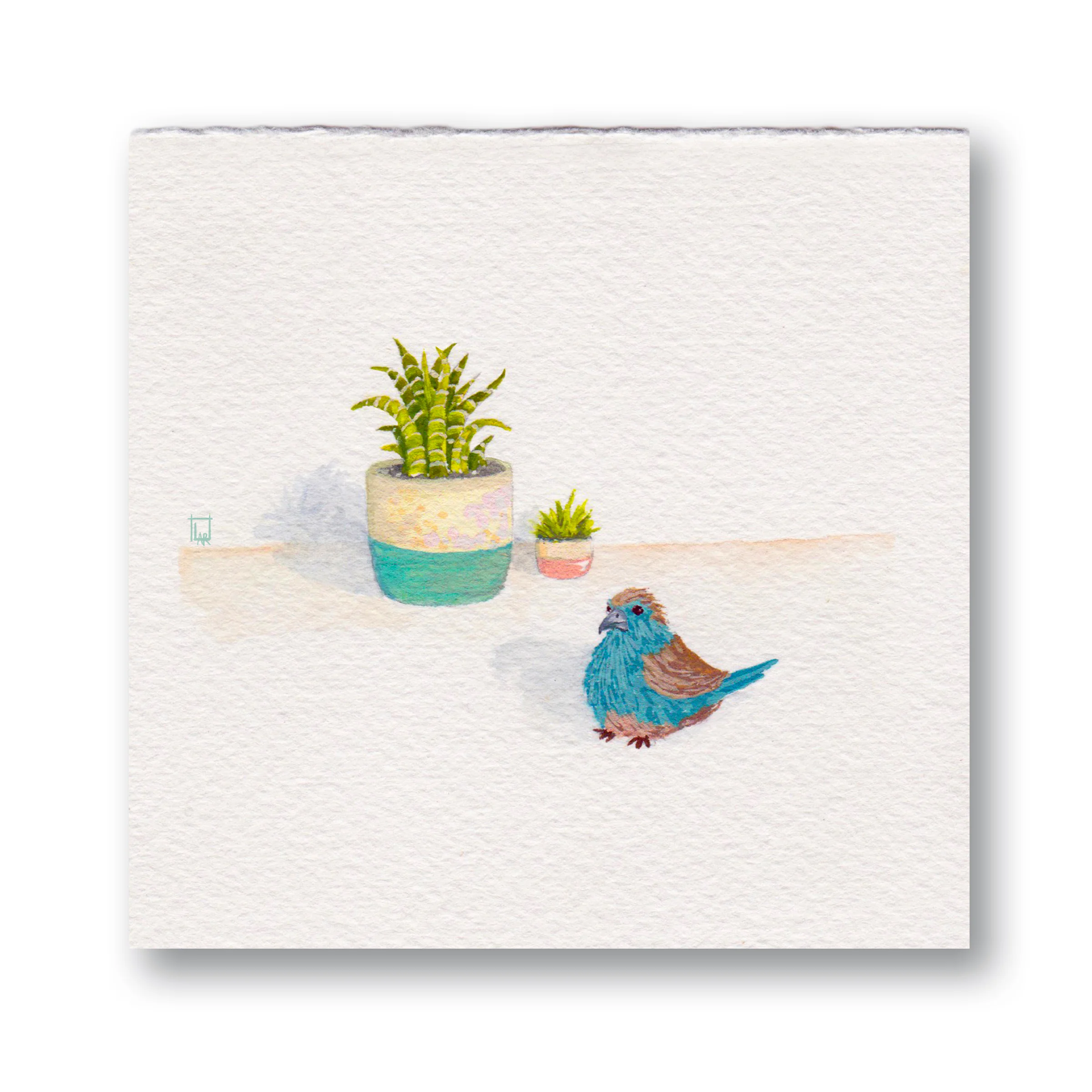 Plant &amp; Bird 3