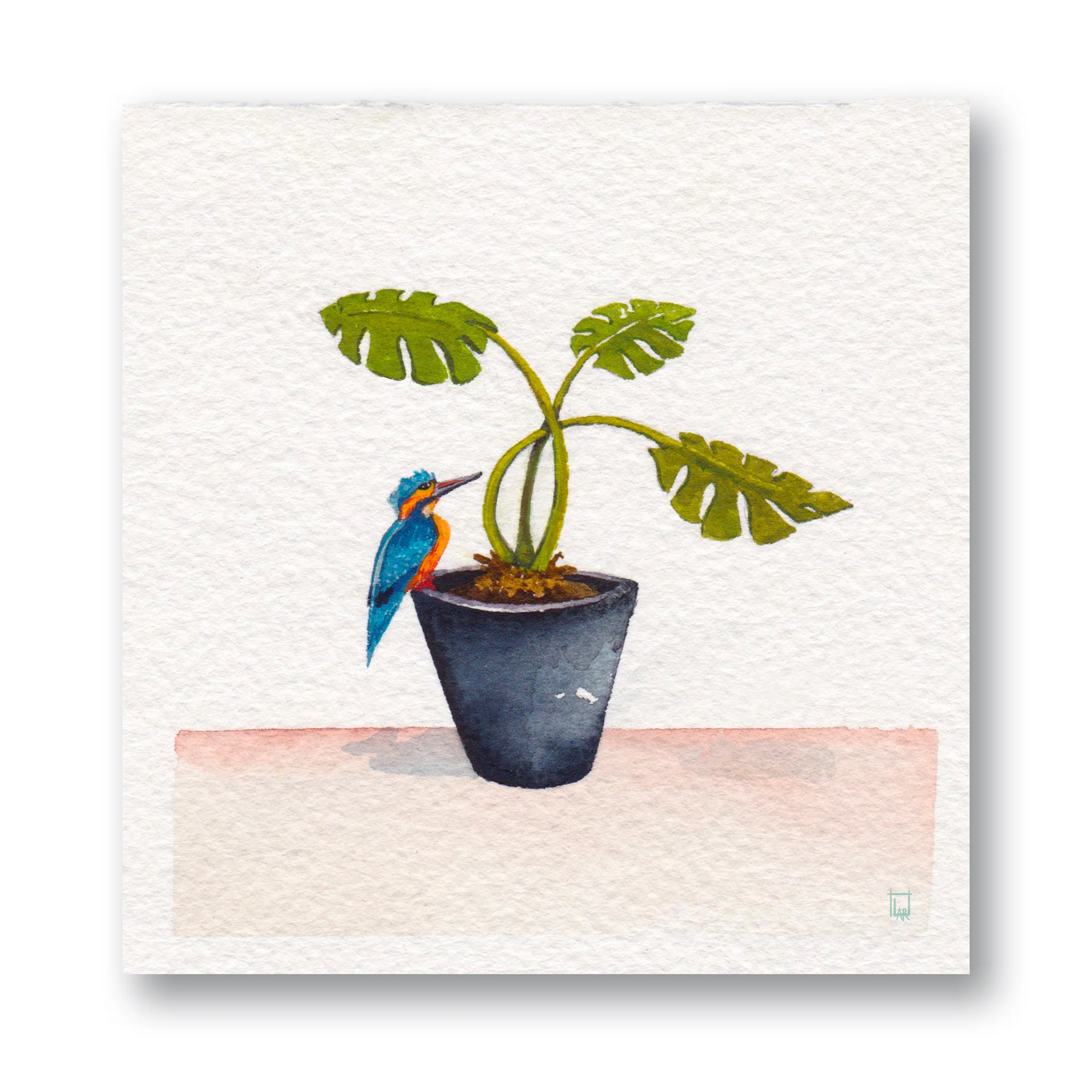 Plant &amp; Bird 2