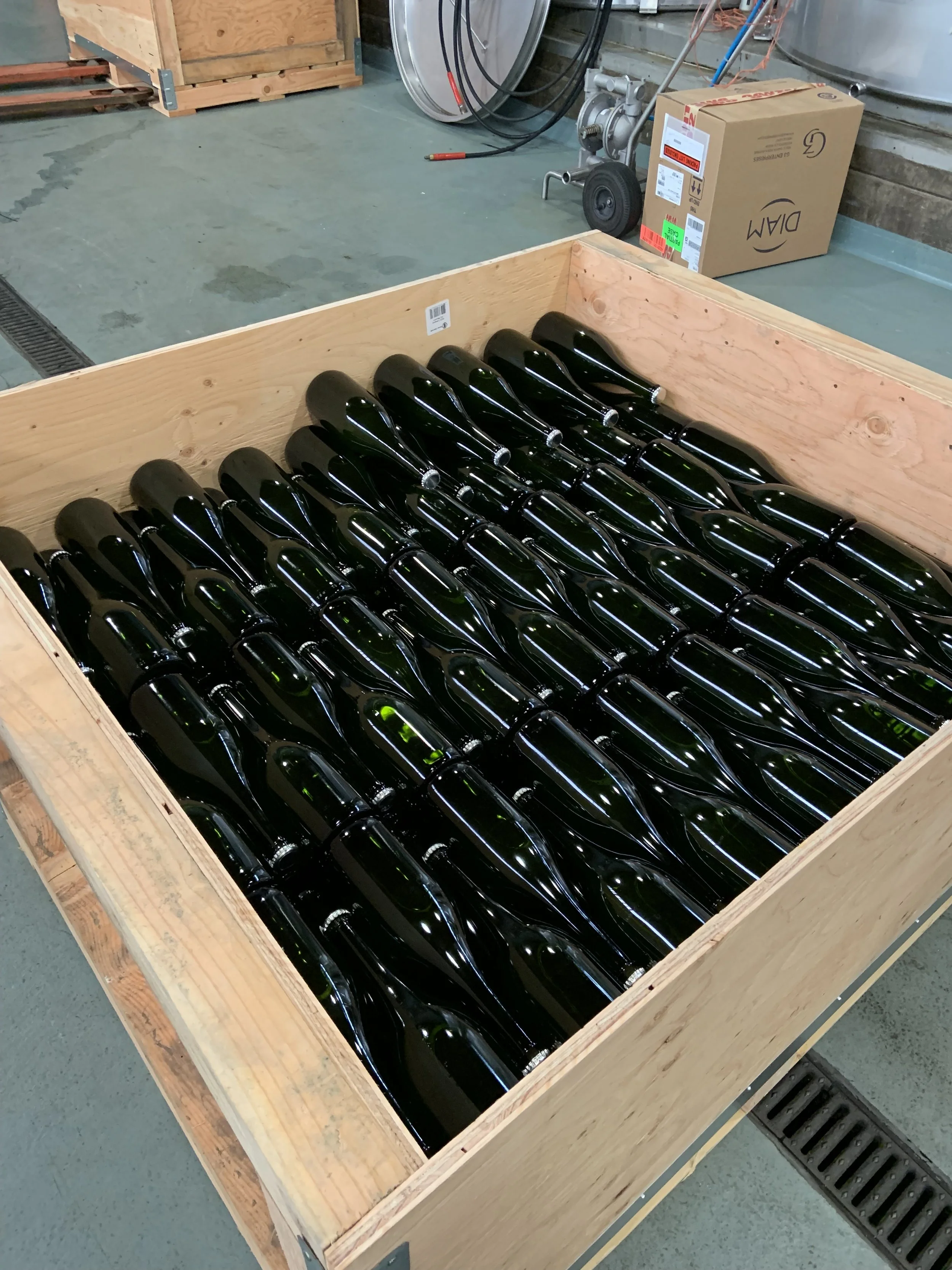 ovum wines