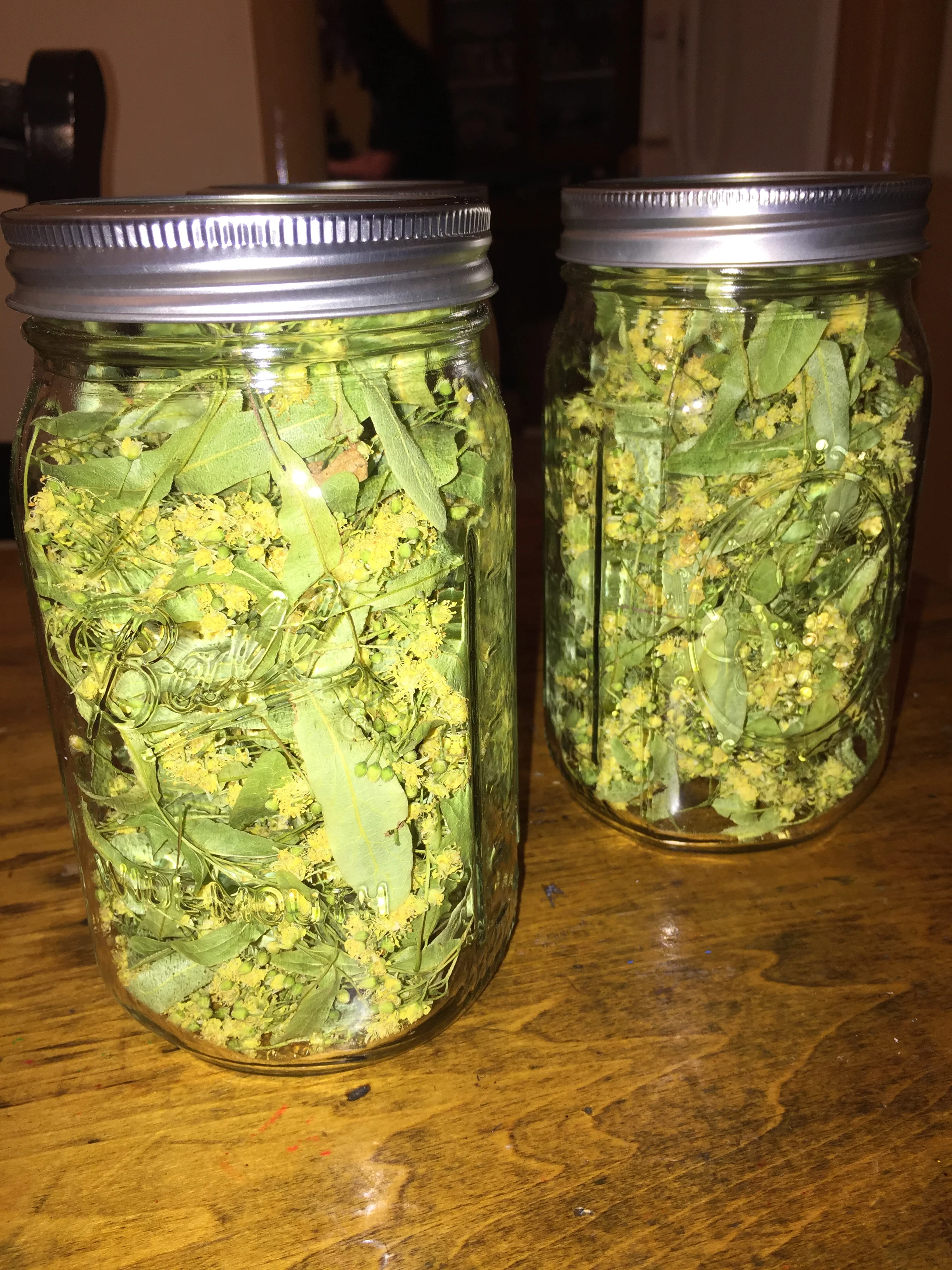 2015 linden tea harvest