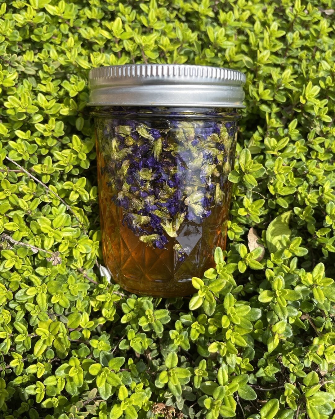 The magic of violets!  Making some violet infused honey this evening.  What are you making with your violets? #fairyflowers #herbalmedicine #magicsweetness