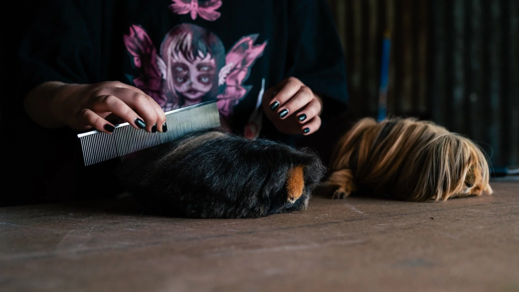 Random smile post - courtesy of these gloriously locked Guinea Pigs 😍