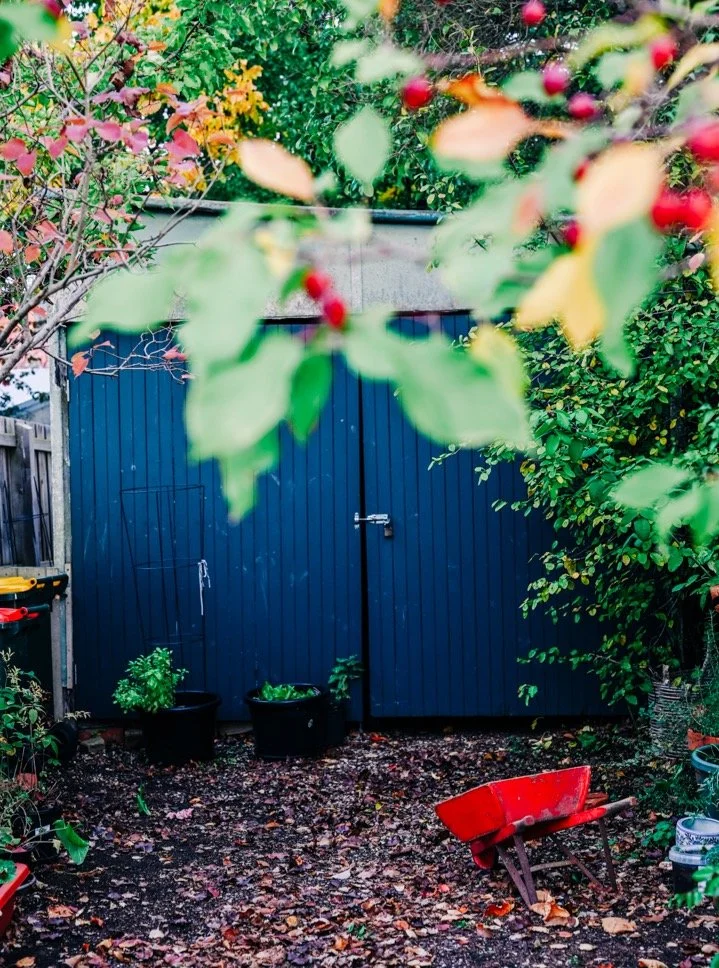 Autumnal Vista | Photo walk around the block providing the colour pop. Keep an eye on the @mountalexandershire_youth feed to see what the young people saw.