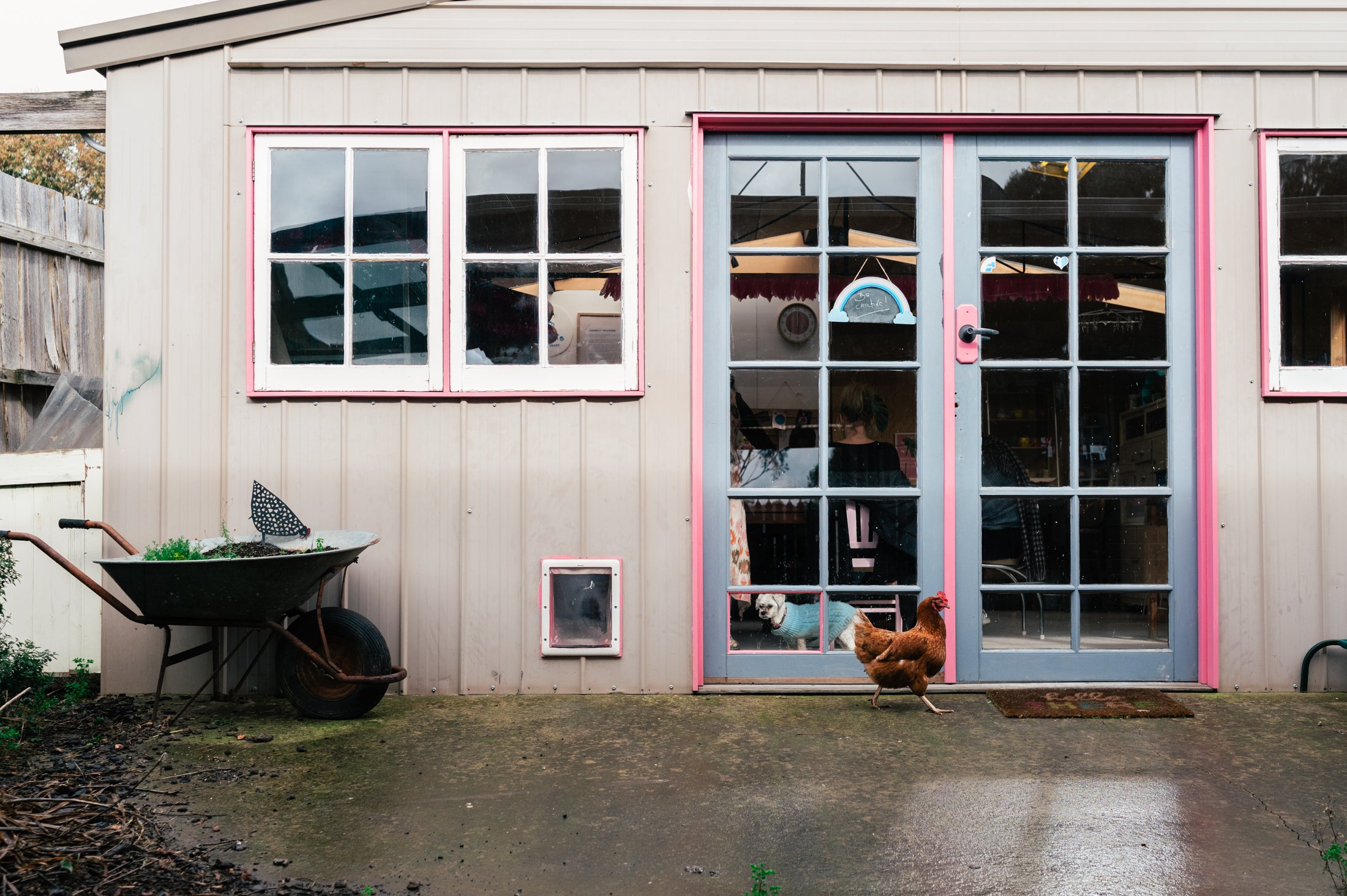 Wintery weekend light + Strutting chickens at @dustypots studio.