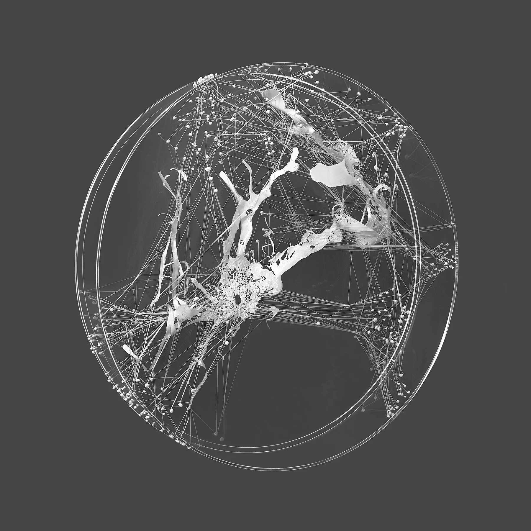 Cold, 2014 Mylar, thread, plexiglass, acrylic 35 x 6 inches