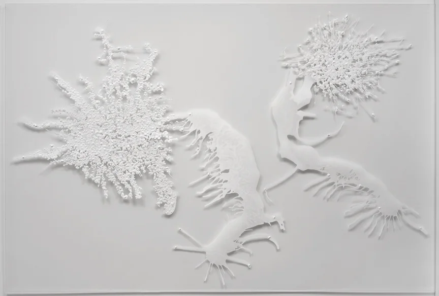Not Twins , 2008 Acrylic on mylar, string and plexi-glass, 32 x 40 inches