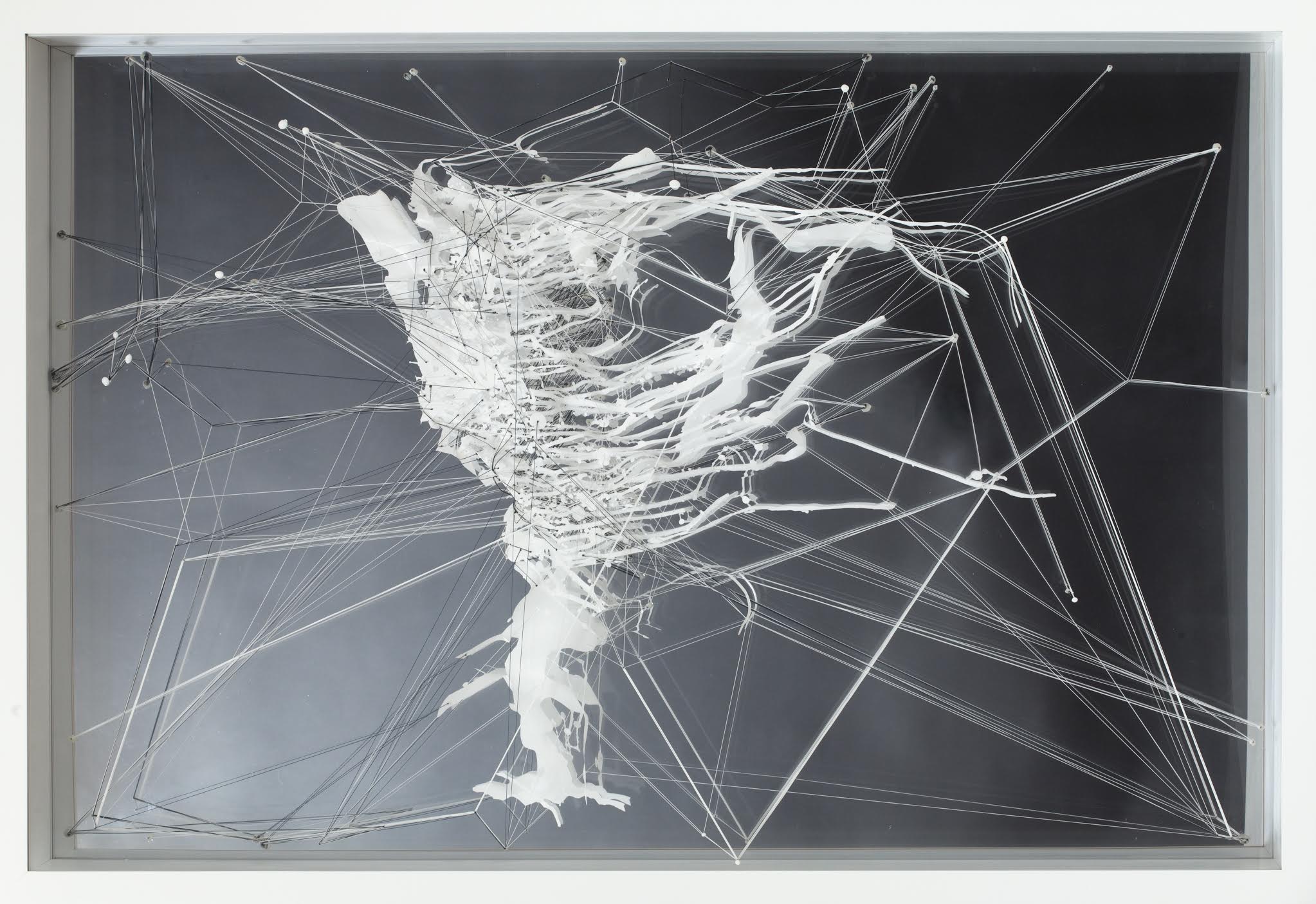   Drawing,&nbsp; 2011  Acrylic, mylar, thread, plexi-glass  34 x 50 inches 