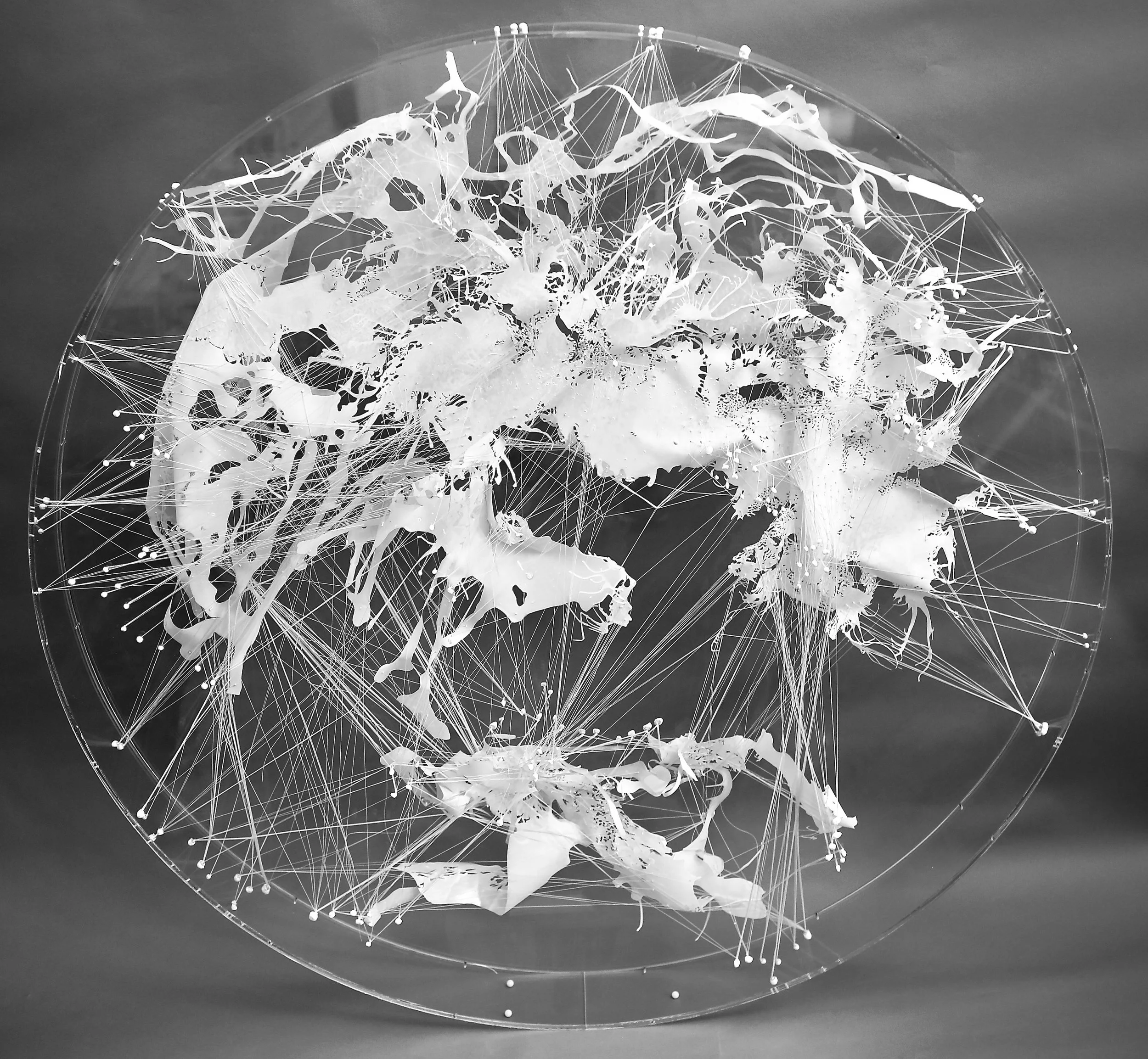 The rush, 2017 Mylar, thread, plexiglass, acrylic 50x5 inches