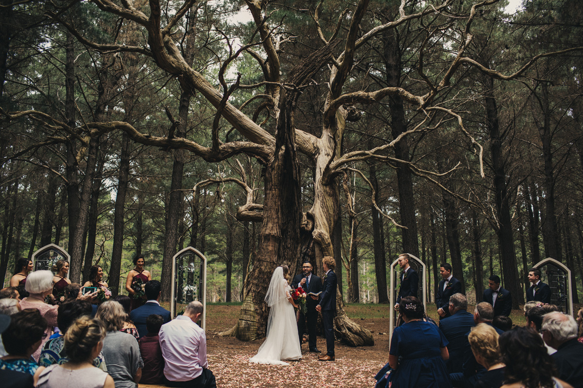 anneliese-liam-wedding-341.jpg
