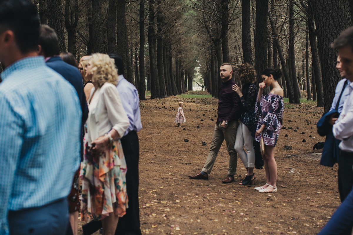 anneliese-liam-wedding-368.jpg