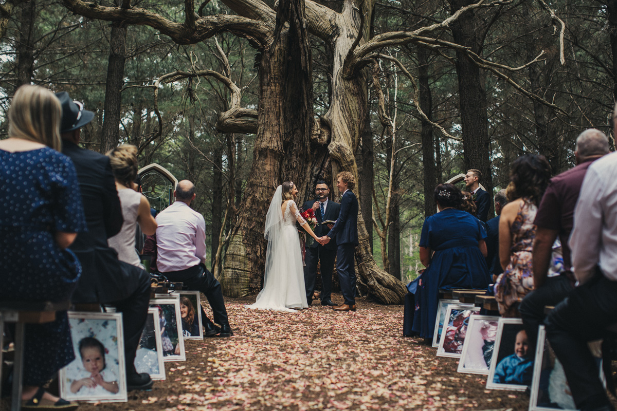anneliese-liam-wedding-369.jpg
