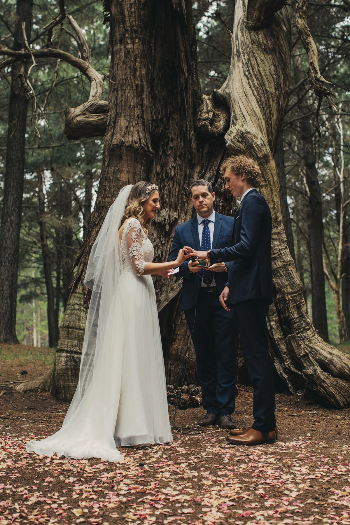anneliese-liam-wedding-398.jpg