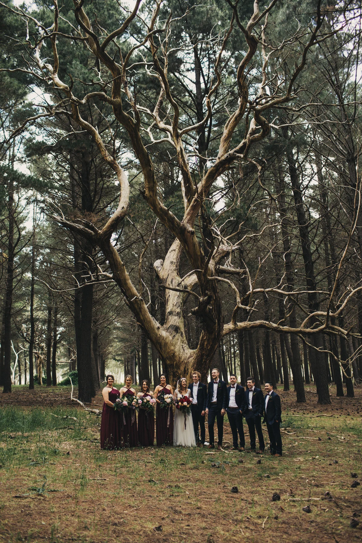 anneliese-liam-wedding-535.jpg