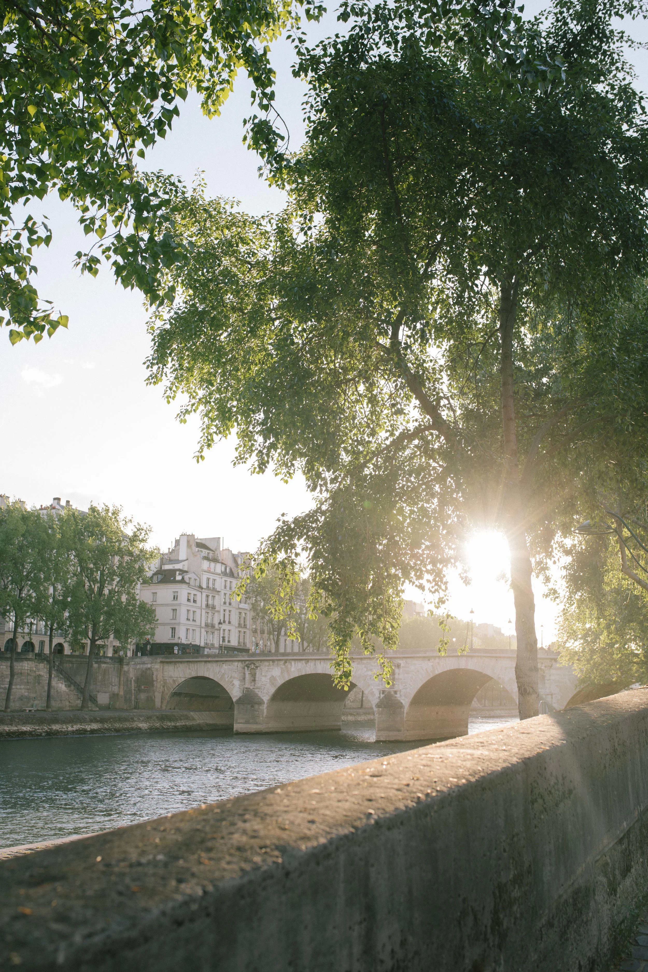 paris 1 (31 of 35).jpg