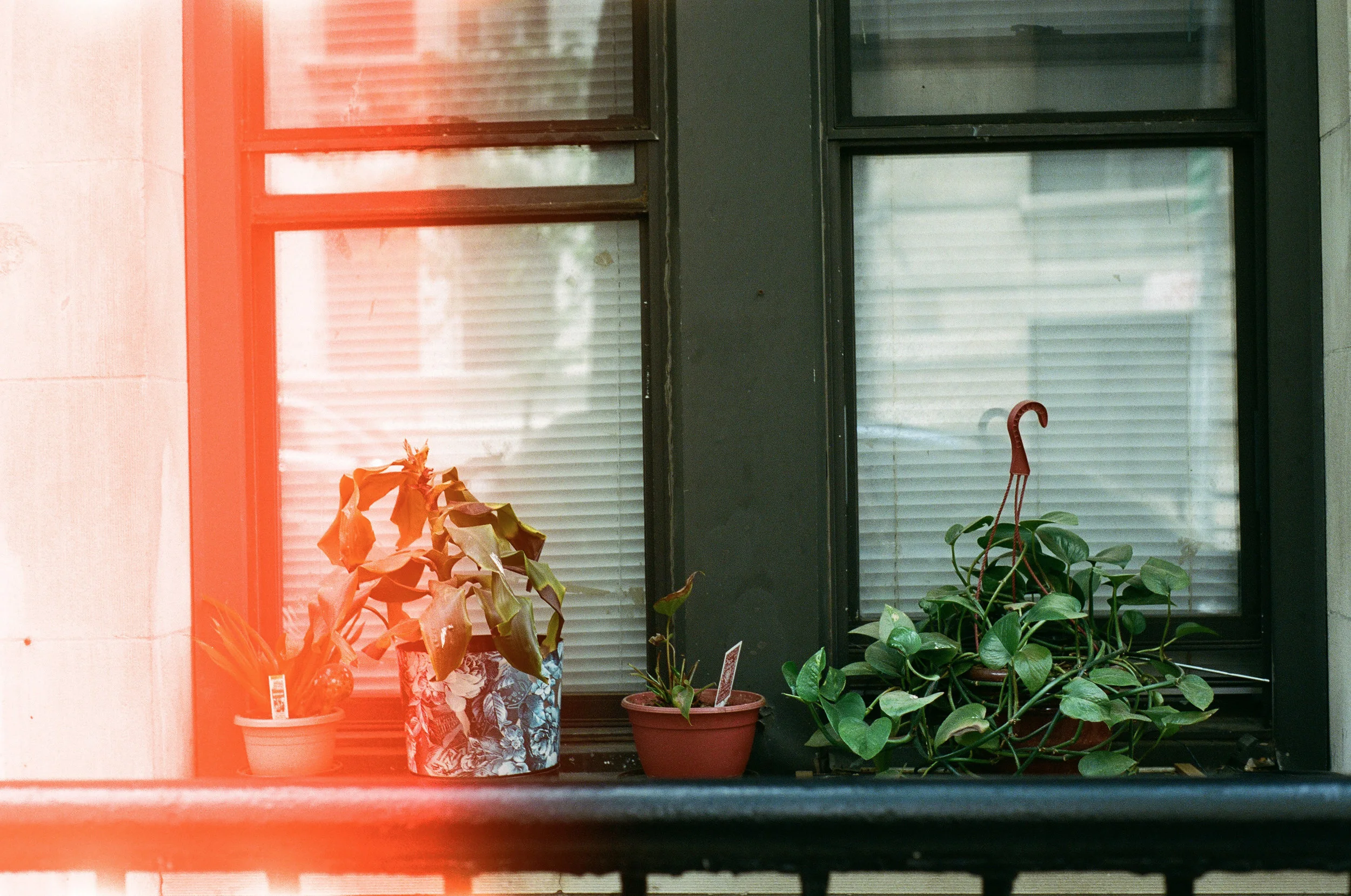 random (2 of 2).jpg