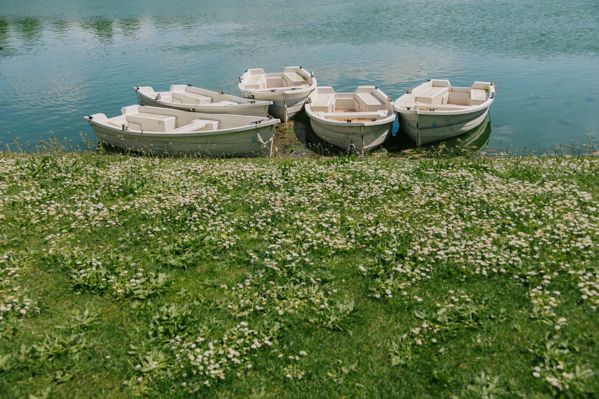 may2_ (25 of 63).jpg